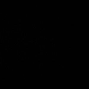 Meet your Posher, Levoire